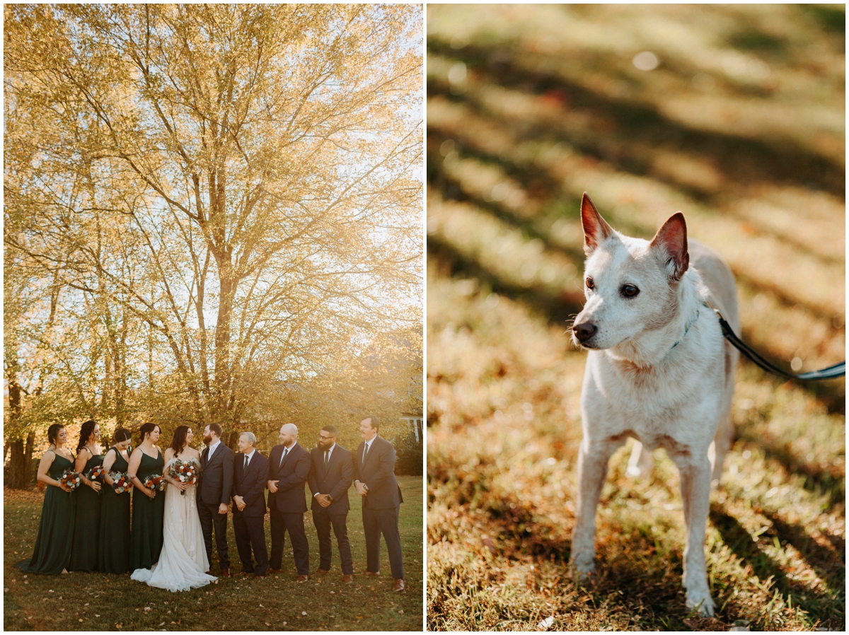 pilot mountain wedding