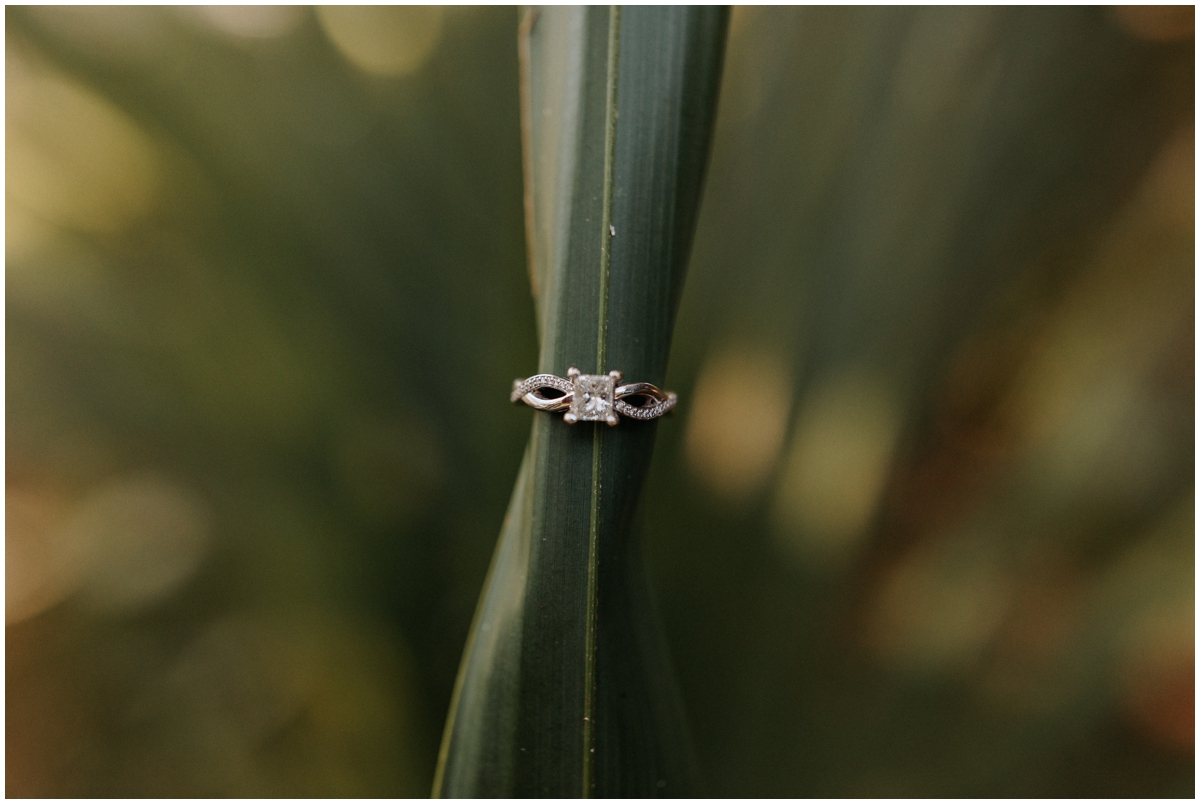 airlie gardens engagement