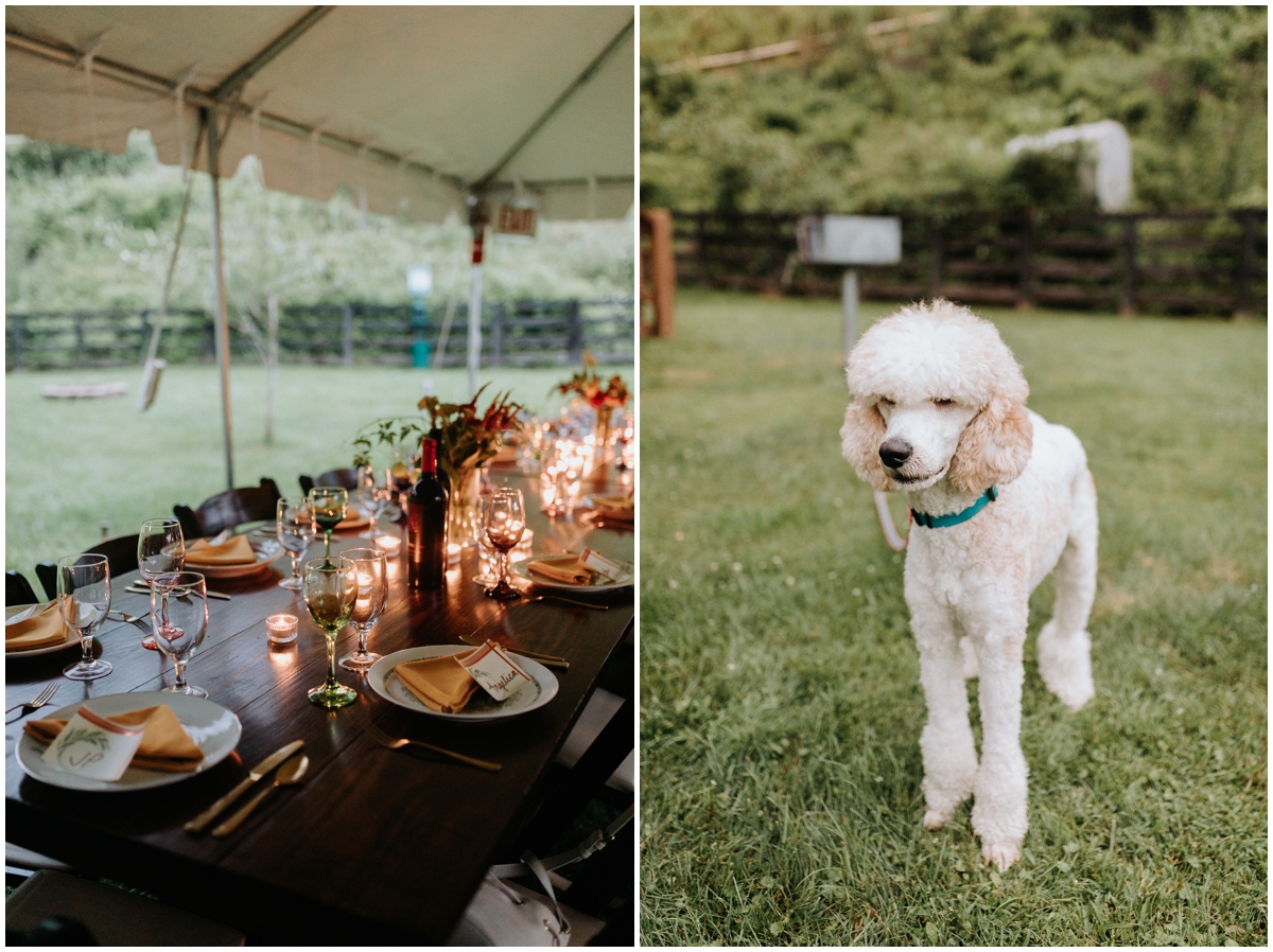 Grayson Highlands Elopement