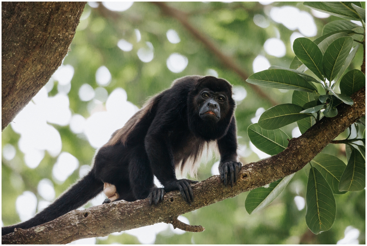 Nosara Costa Rica