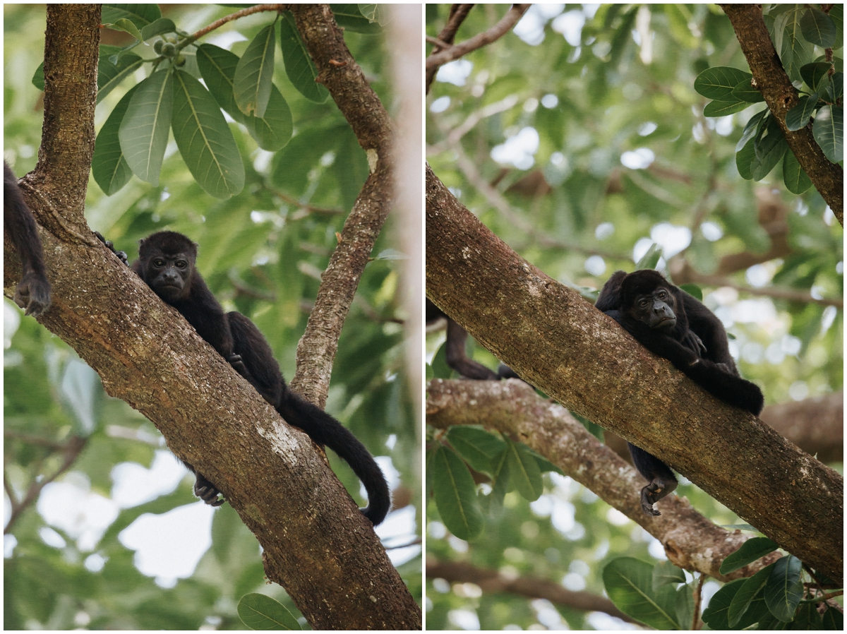 Nosara Costa Rica